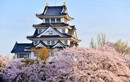 Kỳ lạ toà lâu đài Nhật Bản xây dựng chỉ trong một đêm
