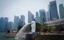 Buôn lậu ma túy vào Singapore, người đàn ông bị treo cổ