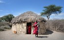 Vì sao bộ lạc châu Phi lấy phân trâu bò xây nhà?