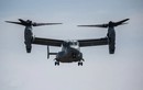 Máy bay quân sự Mỹ chở 8 người lao xuống biển ở Nhật Bản