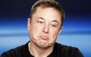 Tỷ phú Elon Musk: Thương trường rực rỡ, tình trường thảm thương