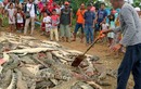Hàng trăm con cá sấu bị thảm sát gây kinh hoàng