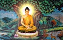 Các thiên tài lừng danh lịch sử lý giải thế nào về Đức Phật? 