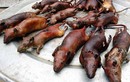 Giải mã bất ngờ: Vì sao người Việt cúng thịt chuột ngày Tết? 