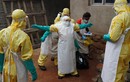 Vì sao đại dịch Ebola khiến cả thế giới chao đảo khiếp sợ?