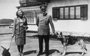 Vì sao Eva Braun cuồng si trùm Hitler đến mức tâm thần? 