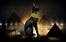 Vì sao mèo ở Ai Cập cổ đại được đối xử như thần linh? 