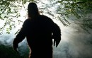 Vì sao con người khó bắt được quái vật Bigfoot?