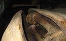 Giải mã tục ướp xác cực đặc biệt ở Philippines
