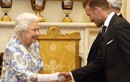 Những người nổi tiếng nhận danh hiệu cao quý từ Nữ hoàng Anh 