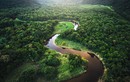 Điều bất ngờ về khu rừng nhiệt đới Amazon nổi tiếng thế giới