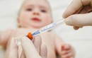 Nhận diện các loại vắc xin và “góc khuất” kỳ tích cứu nhân loại