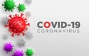 Virus SARS-CoV-2 thay đổi hình dạng ra sao để "bám dai" trên người?