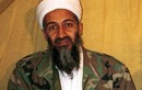 Mỹ dựa vào chu kỳ Mặt Trăng tiêu diệt Osama bin Laden thế nào?
