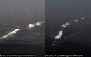 Giật mình thủy quái Alaska: Giống hệt quái vật hồ Loch Ness! 