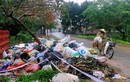 Sau Tết, nhiều tuyến đường ở Nghệ An ngập rác thải
