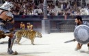 Sự thật bất ngờ những “đấu sĩ” đặc biệt nhất đấu trường La Mã 