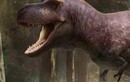 Lý do rùng rợn khiến “tay” của bạo chúa T-rex hầu như biến mất