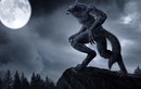 Lý giải bất ngờ: Con người hóa sói liên quan đến các vị thần?