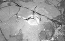 NASA tung ảnh chụp “dải thịt xông khói” trên sao Hoả: Nghi có sự sống? 