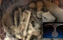 Mở mộ nữ vương 3.700 tuổi, chuyên gia bất ngờ thấy "người lạ"