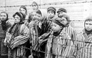 Phát xít Đức lên kế hoạch diệt chủng người Do Thái trong bao lâu?