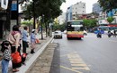 Xe buýt Thủ đô vẫn chạy xuyên Tết