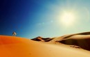 Nếu lắp pin mặt trời phủ kín sa mạc Sahara, điều gì sẽ xảy ra?