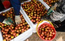 Trung Quốc chi tiền gấp 5 để mua rau quả