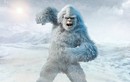 Giả thuyết sốc: Quái vật Bigfoot, người tuyết Yeti chỉ là... con gấu lớn? 