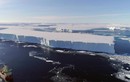 Nam Cực mất lượng băng bằng Argentina, chuyên gia dự báo “nóng” thảm họa
