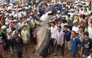 Top “thủy quái” đáng sợ sa lưới ngư dân Việt, dân ùn ùn đến xem 