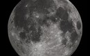 Chuyên gia NASA tuyên bố chấn động: “Mặt Trăng có thể tồn tại sự sống” 