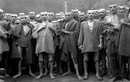 Sự thật chấn động chưa tiết lộ về thảm họa diệt chủng Holocaust