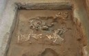 Phát hiện vật đặc biệt hiếm gần mộ Tần Thủy Hoàng, chuyên gia sửng sốt 