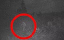 Xem ảnh cũ, bất ngờ thấy quái vật Bigfoot “hiện nguyên hình” 