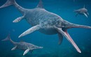 Bí ẩn loài “rồng biển” sống trên Trái đất hơn 200 triệu năm trước