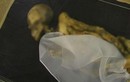 Kinh ngạc xác ướp hoàn hảo “thiếu nữ băng giá” tìm thấy ở Nga