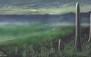 Sự thật chấn động về “quái vật” không chân tay cao 8m