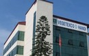 Vegetexco bị xử phạt 85 triệu đồng dokhông công bố Báo cáo tài chính