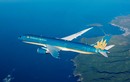 Vietnam Airlines nói gì về tình trạng cổ phiếu trong diện kiểm soát?