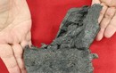 Phát hiện hóa thạch xương hàm khủng long tyrannosaurid lần đầu tại Nhật Bản 