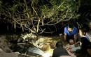 Hành trình “mẹ rùa” Malaysia đến Côn Đảo hạ sinh 108 “bé rùa“