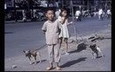 Ảnh chất lừ về Sài Gòn năm 1990 của phó nháy Pháp 