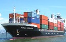 Vì sao VOS Vận tải Biển Việt Nam bị khuyến nghị bán?