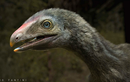“Quái vật” đầu chim, đuôi khủng long lộ diện, chấn động cả giới khảo cổ 
