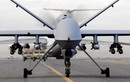 UAV vũ trang MQ-9 của Mỹ đã bị Iran sao chép trắng trợn
