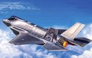 Rút cục chiến đấu cơ F-35 của Mỹ là tiêm kích hay cường kích?