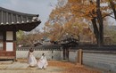 Lịm tim với bộ ảnh Bản tình ca mùa Thu ở Hàn Quốc