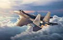 Tiêm kích Su-30 Nga 'chiến thắng' F-15 Mỹ trên... 4 châu lục